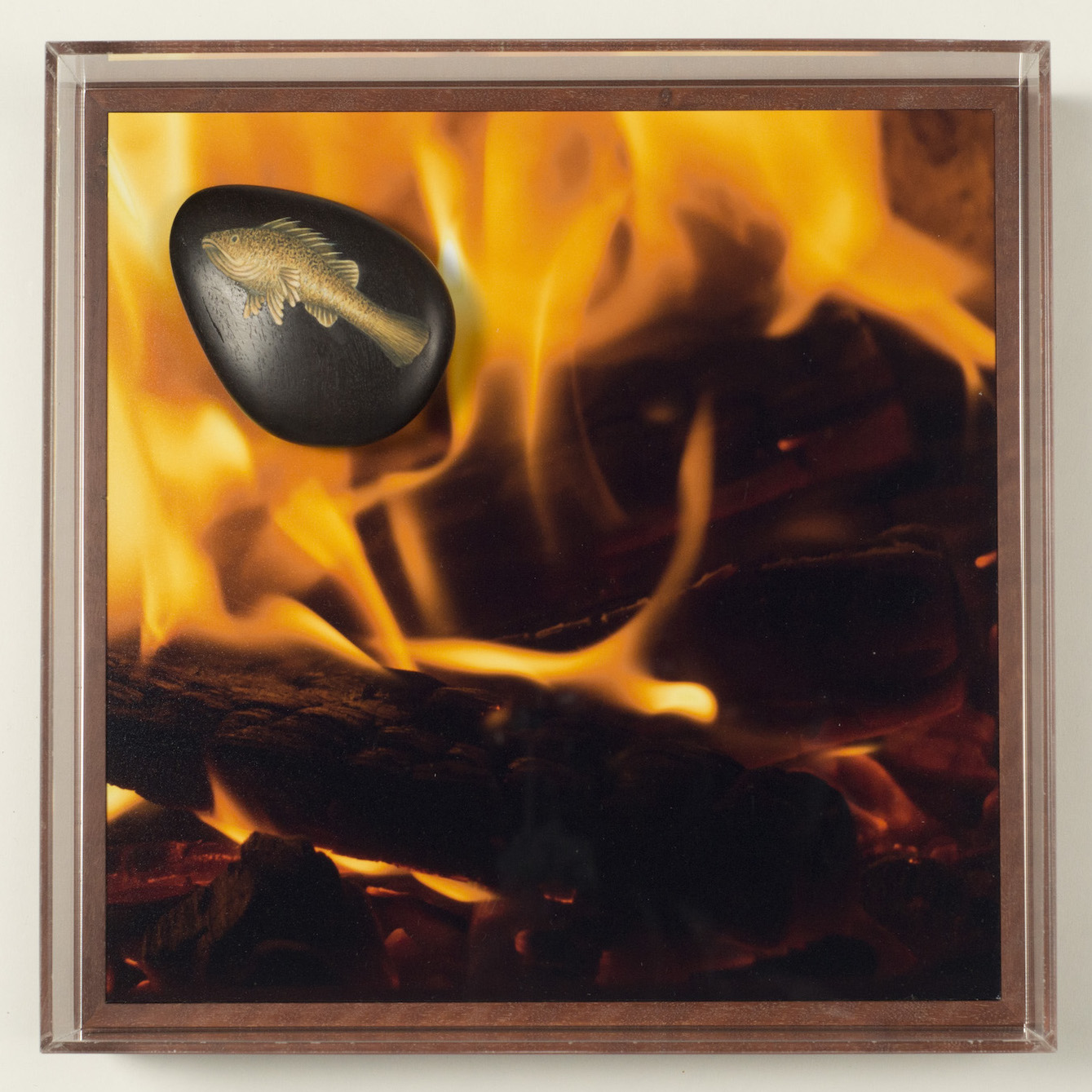 Elementals – Fire, gouache, petrified redgum, colour photograph on dibond, redgum and perspex, 25 x 25 x 9cm, 2017-18